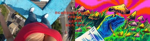 марки lsd Волосово